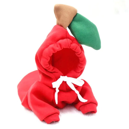 Warm Winter Cute Fruit Pet Clothes