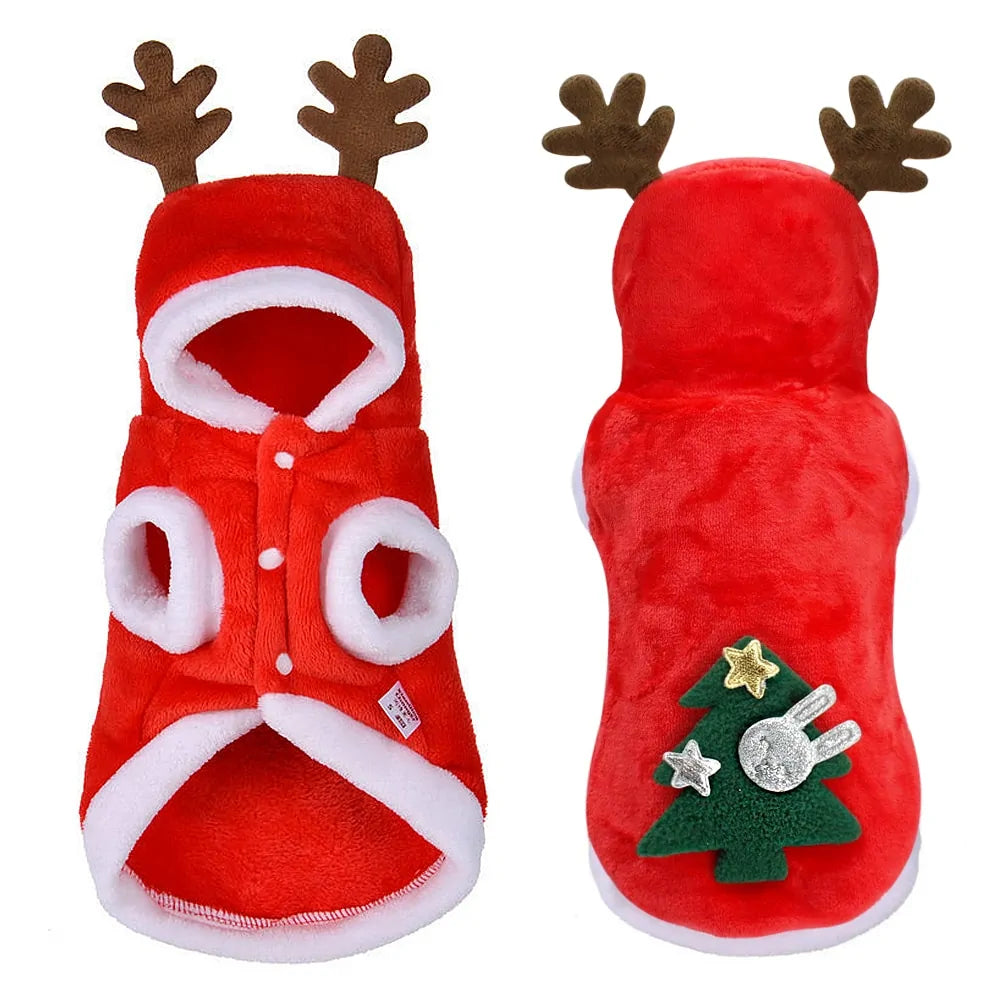 Christmas Santa Costume | Perfectly Sized for Small Dogs and Cats