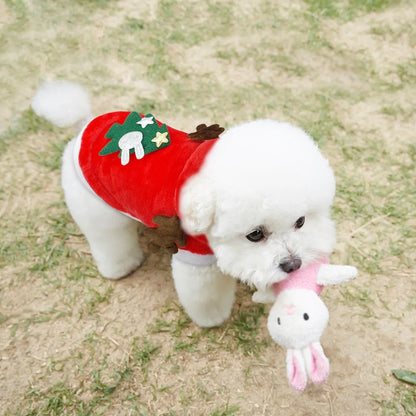 Christmas Santa Costume | Perfectly Sized for Small Dogs and Cats