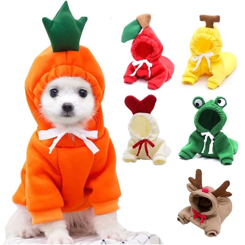 Warm Winter Cute Fruit Pet Clothes