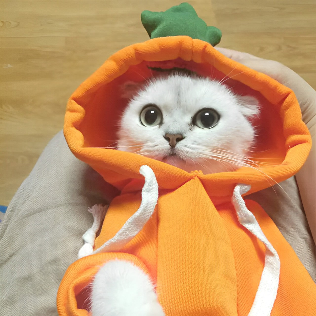 Warm Winter Cute Fruit Pet Clothes