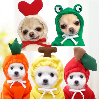 Warm Winter Cute Fruit Pet Clothes