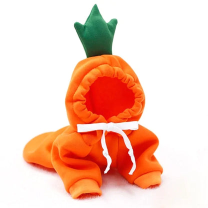 Warm Winter Cute Fruit Pet Clothes