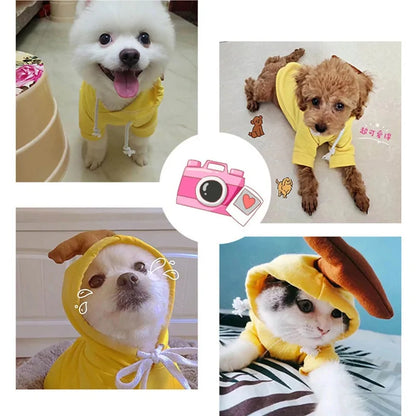 Warm Winter Cute Fruit Pet Clothes