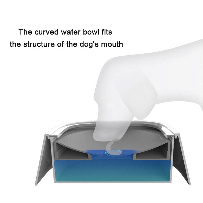 Pet Drinking Water Bowl