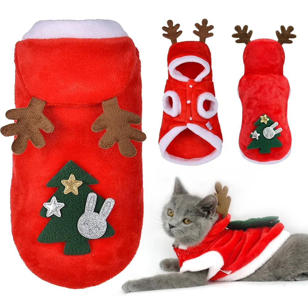 Christmas Santa Costume | Perfectly Sized for Small Dogs and Cats