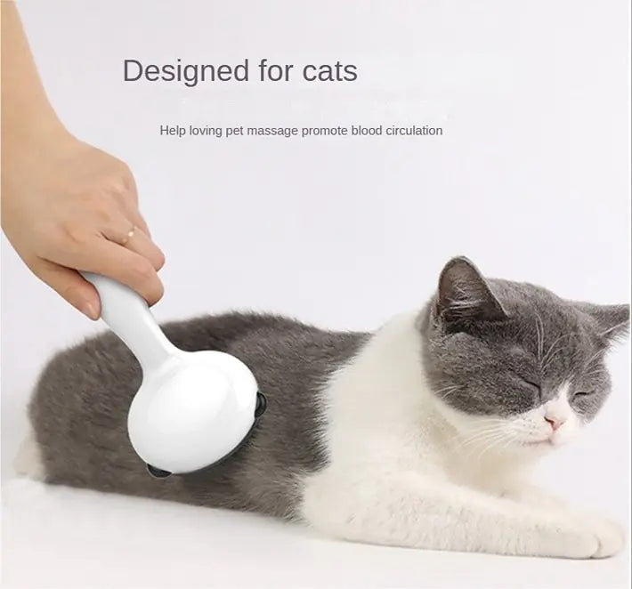 Pet Care Grooming Set | Designed for Cat