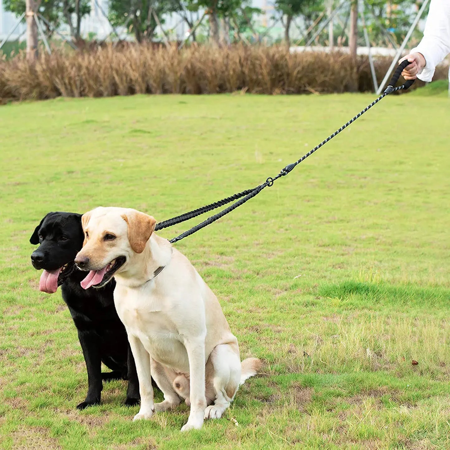 Double Lead Dog Leash